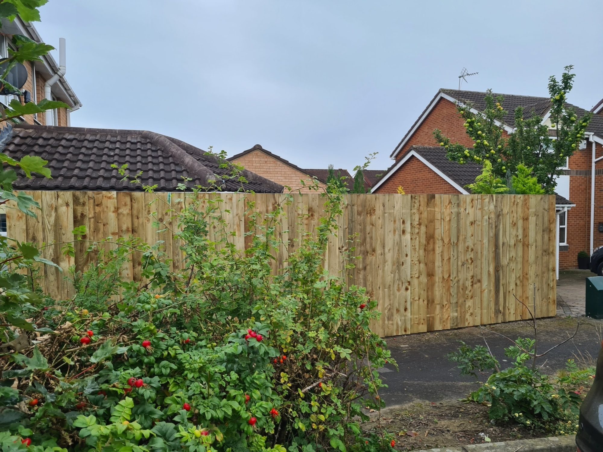 Full garden fence replacement in Washington with professional finish