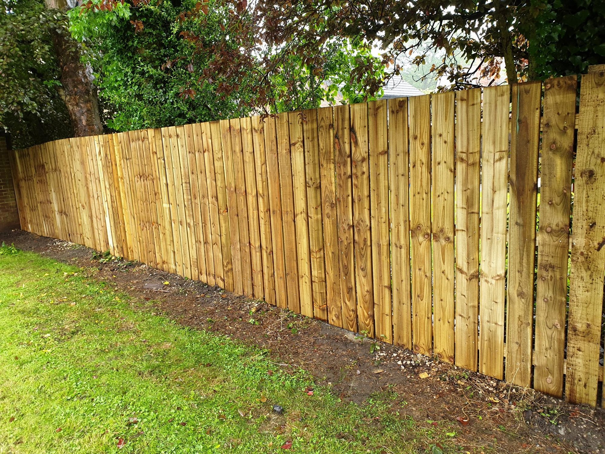 Galvanised steel fence posts installed in Washington garden